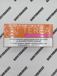 Стики Terea Amber Узбекистан Оптом